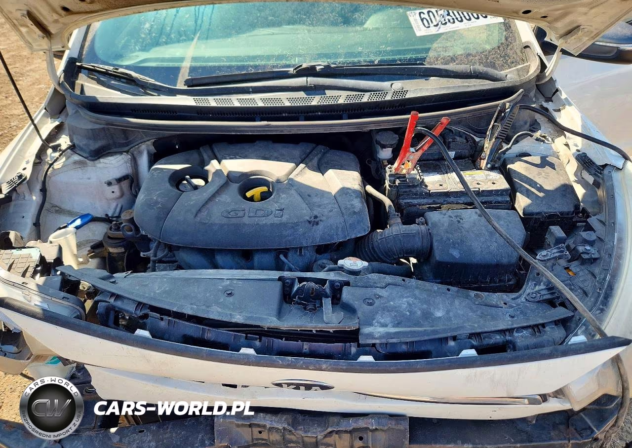 2014 Kia Forte Ex VIN:KNAFX6A80E5194503 - 11