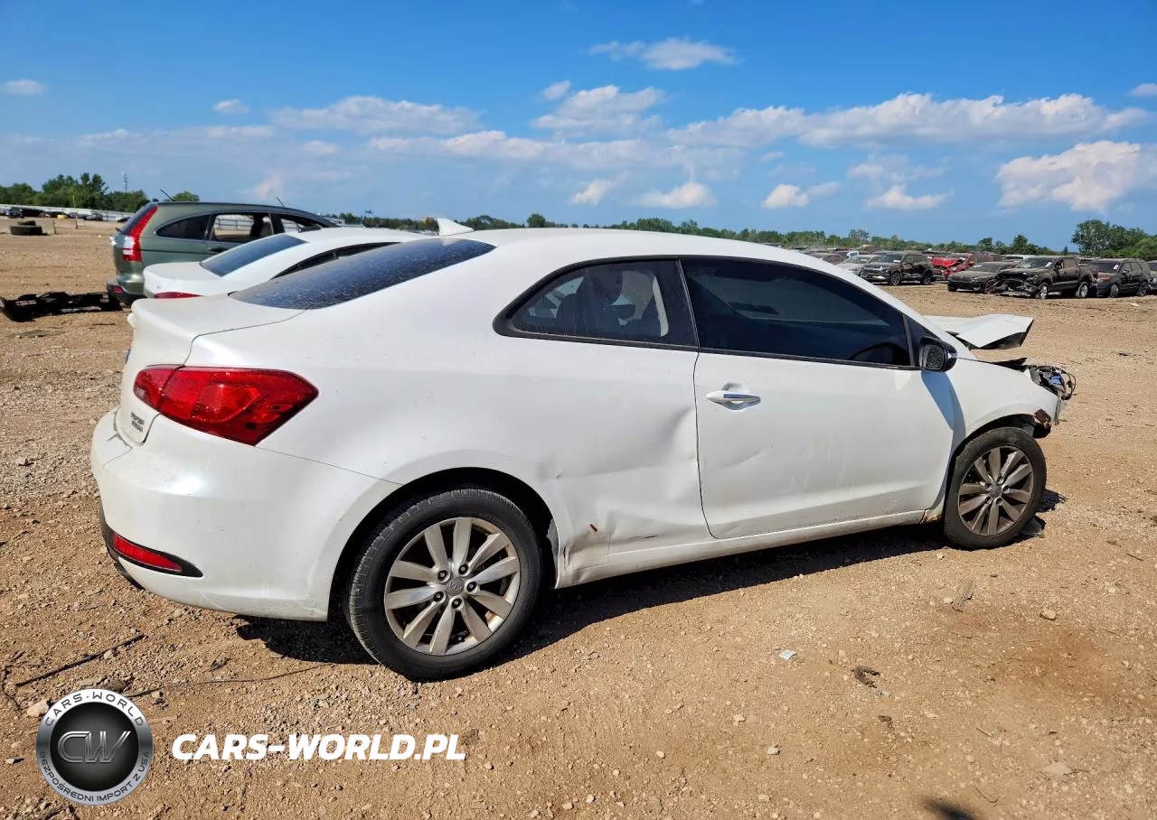 2014 Kia Forte Ex VIN:KNAFX6A80E5194503 - 3