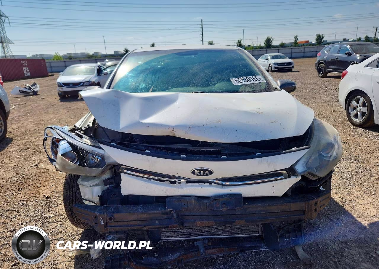 2014 Kia Forte Ex VIN:KNAFX6A80E5194503 - 5