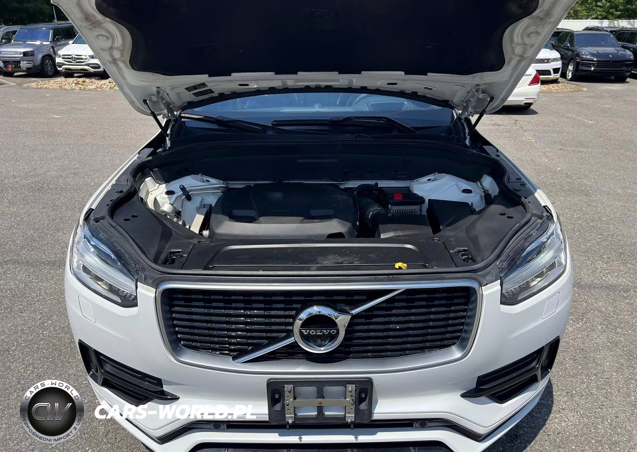 2019 Volvo Xc90 T6 R-Design VIN:YV4A22PM3K1499034 - 8