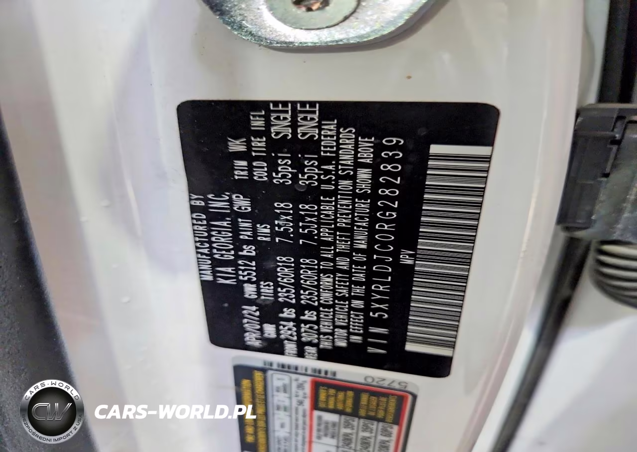 2024 Kia Sorento S VIN:5XYRLDJC0RG282839 - 13