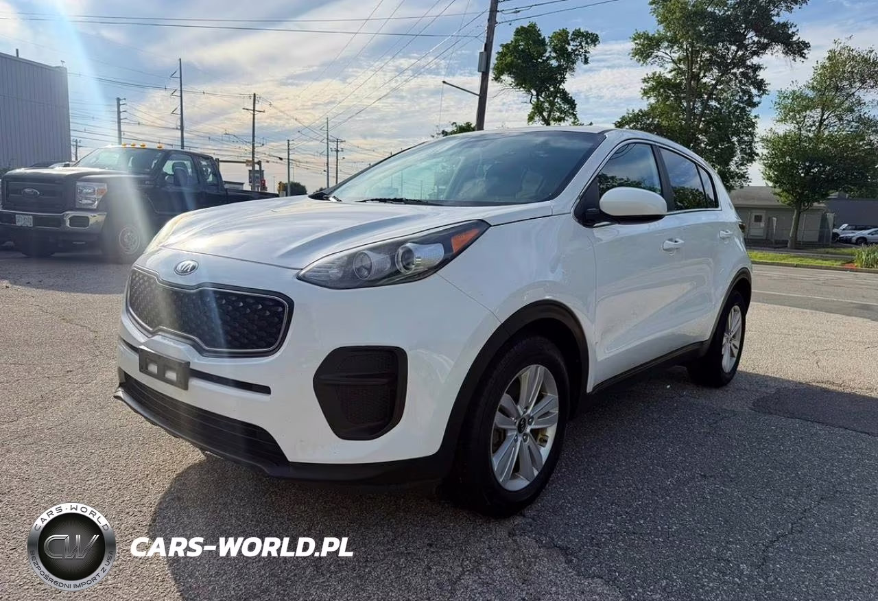 2019 Kia Sportage Lx VIN:KNDPM3AC8K7623258 - 2