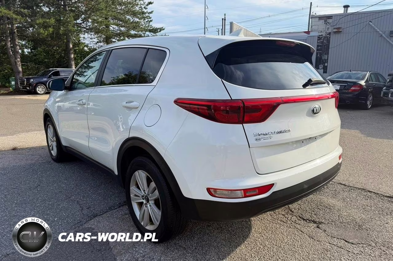 2019 Kia Sportage Lx VIN:KNDPM3AC8K7623258 - 3
