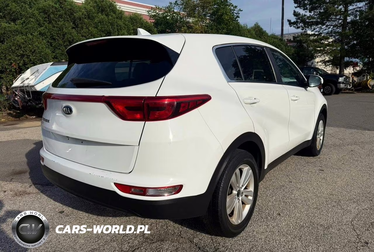 2019 Kia Sportage Lx VIN:KNDPM3AC8K7623258 - 4