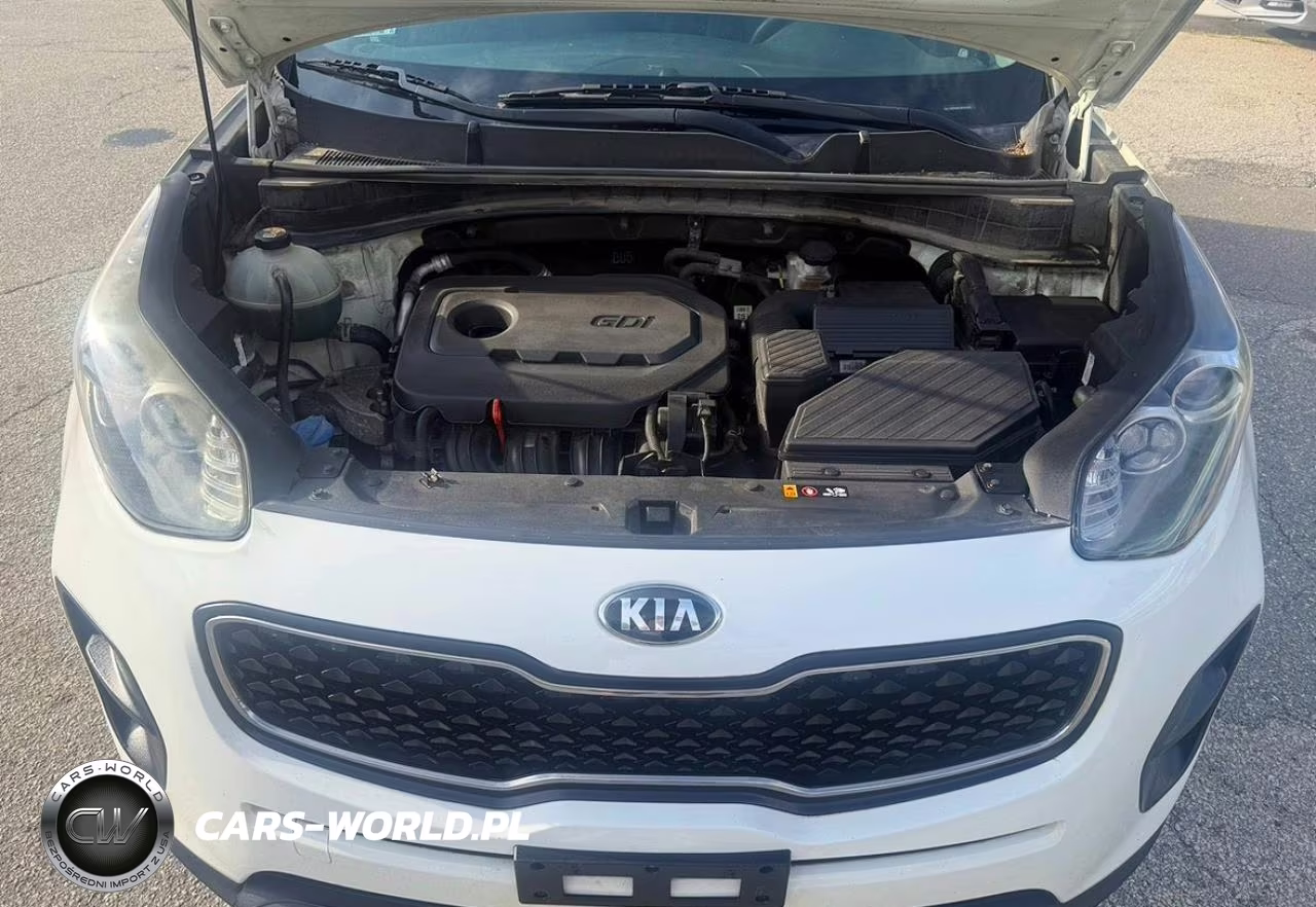 2019 Kia Sportage Lx VIN:KNDPM3AC8K7623258 - 7