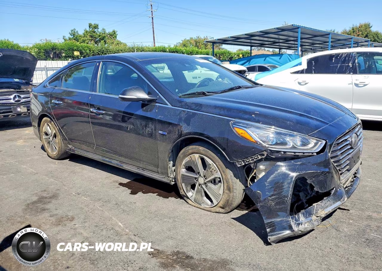2019 Hyundai Sonata Hybrid Limited VIN:KMHE34L34KA092636 - 4