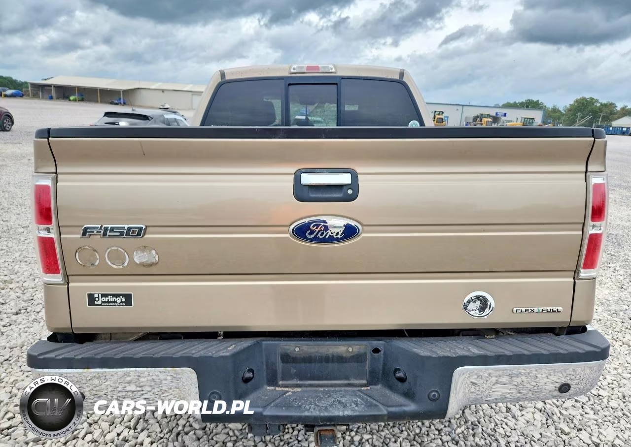 2011 Ford F150 VIN:1FTFW1EF9BFA98666 - 11