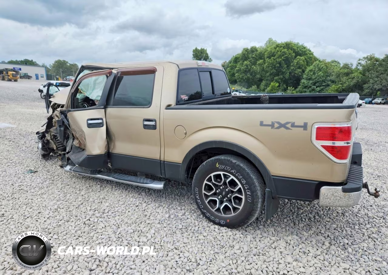2011 Ford F150 VIN:1FTFW1EF9BFA98666 - 4