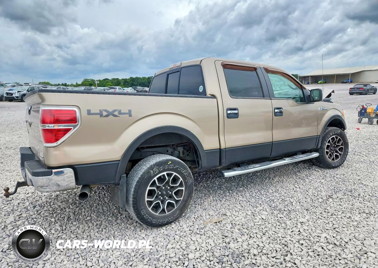 2011 Ford F150 VIN:1FTFW1EF9BFA98666 - 5