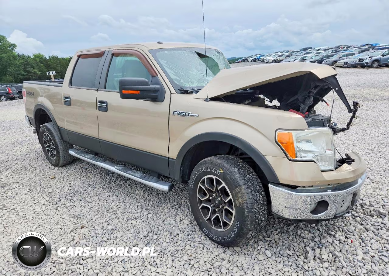 2011 Ford F150 VIN:1FTFW1EF9BFA98666 - 8