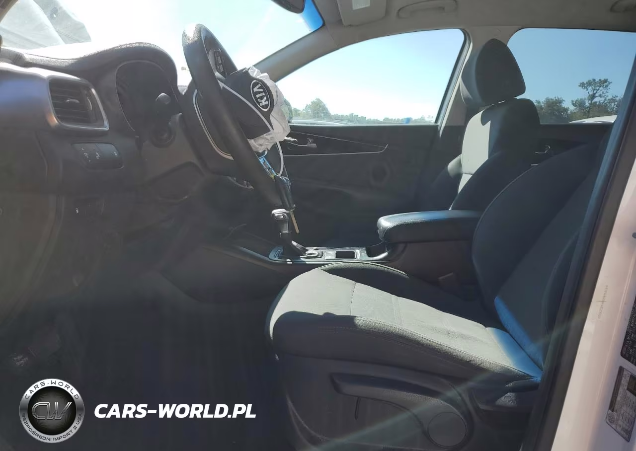 2019 Kia Sorento L VIN:5XYPG4A38KG533902 - 13
