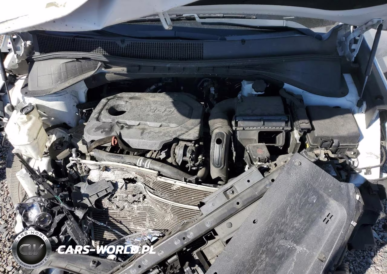 2019 Kia Sorento L VIN:5XYPG4A38KG533902 - 24