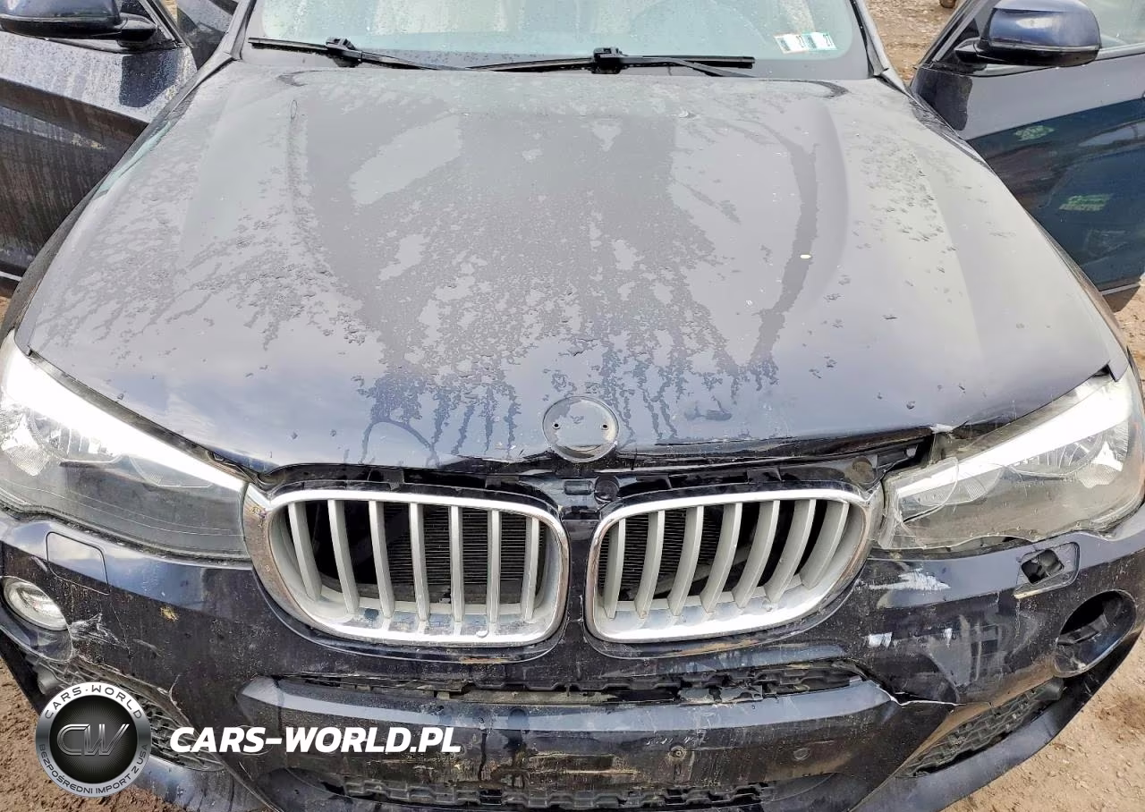 2017 BMW X3 xDrive28I VIN:5UXWX9C54H0T09921 - 12