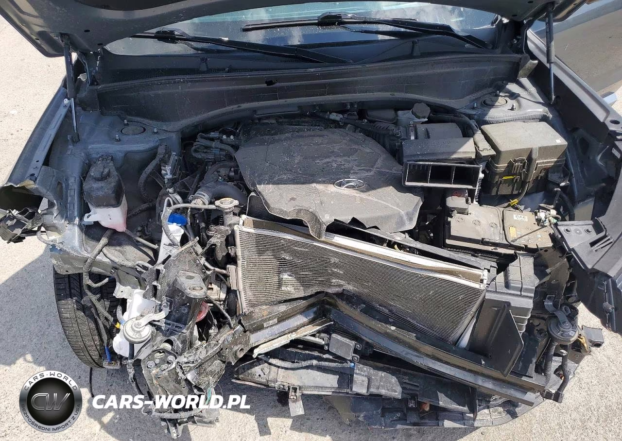 2024 Hyundai Palisade Calligraphy VIN:KM8R7DGE6RU720898 - 12