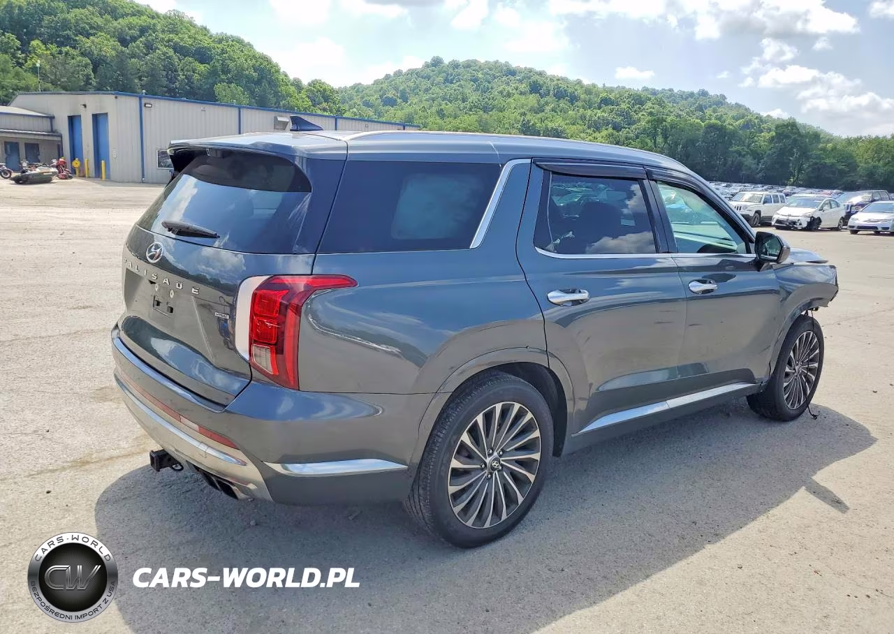 2024 Hyundai Palisade Calligraphy VIN:KM8R7DGE6RU720898 - 3