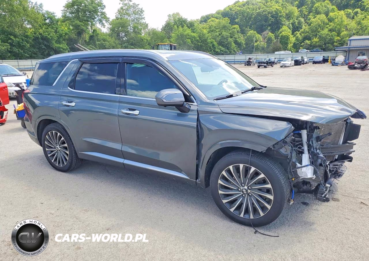 2024 Hyundai Palisade Calligraphy VIN:KM8R7DGE6RU720898 - 4