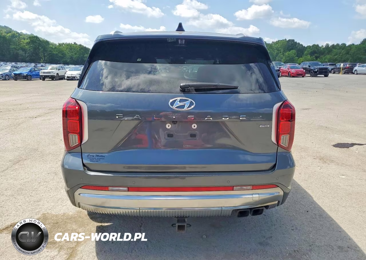 2024 Hyundai Palisade Calligraphy VIN:KM8R7DGE6RU720898 - 6