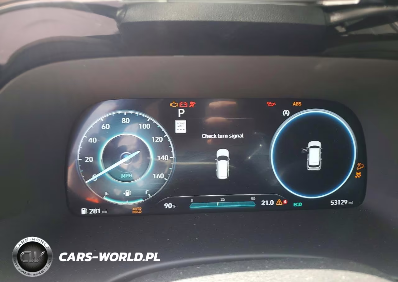 2024 Hyundai Palisade Calligraphy VIN:KM8R7DGE6RU720898 - 9