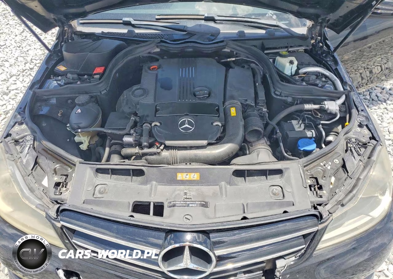 2015 Mercedes-Benz C 250 VIN:WDDGJ4HB3FG415988 - 11