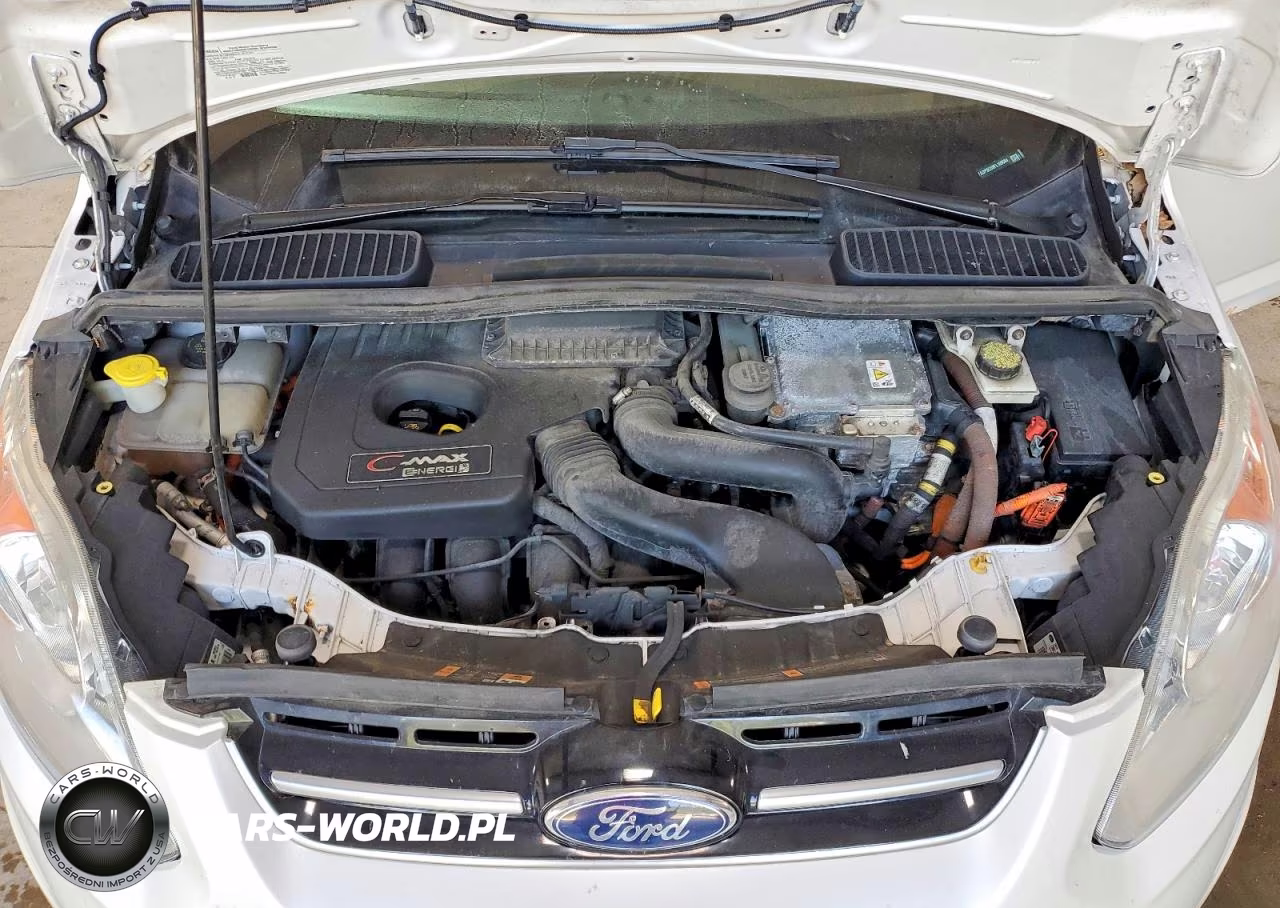2015 Ford C-Max Premium Sel VIN:1FADP5CU8FL109084 - 12