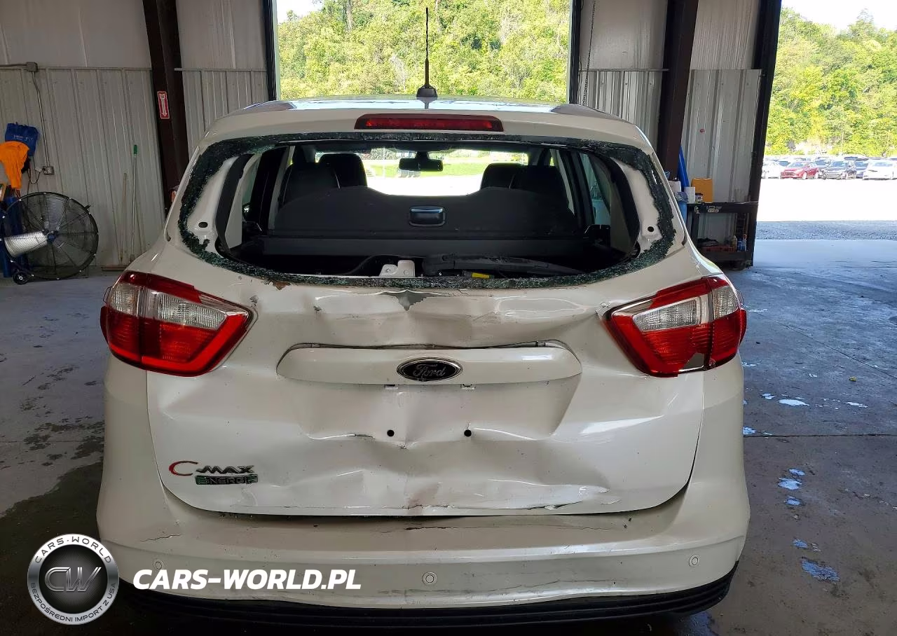 2015 Ford C-Max Premium Sel VIN:1FADP5CU8FL109084 - 6