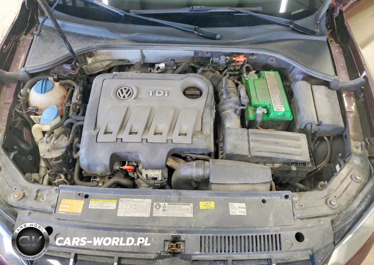 2013 Volkswagen Passat Sel VIN:1VWCN7A36DC149353 - 11