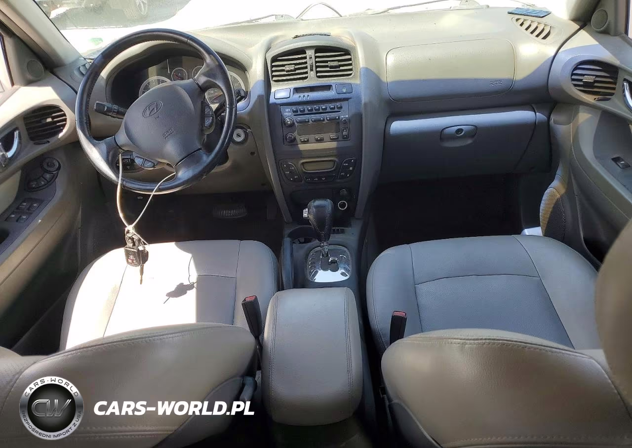2005 Hyundai Santa Fe Gls VIN:KM8SC13EX5U901580 - 8