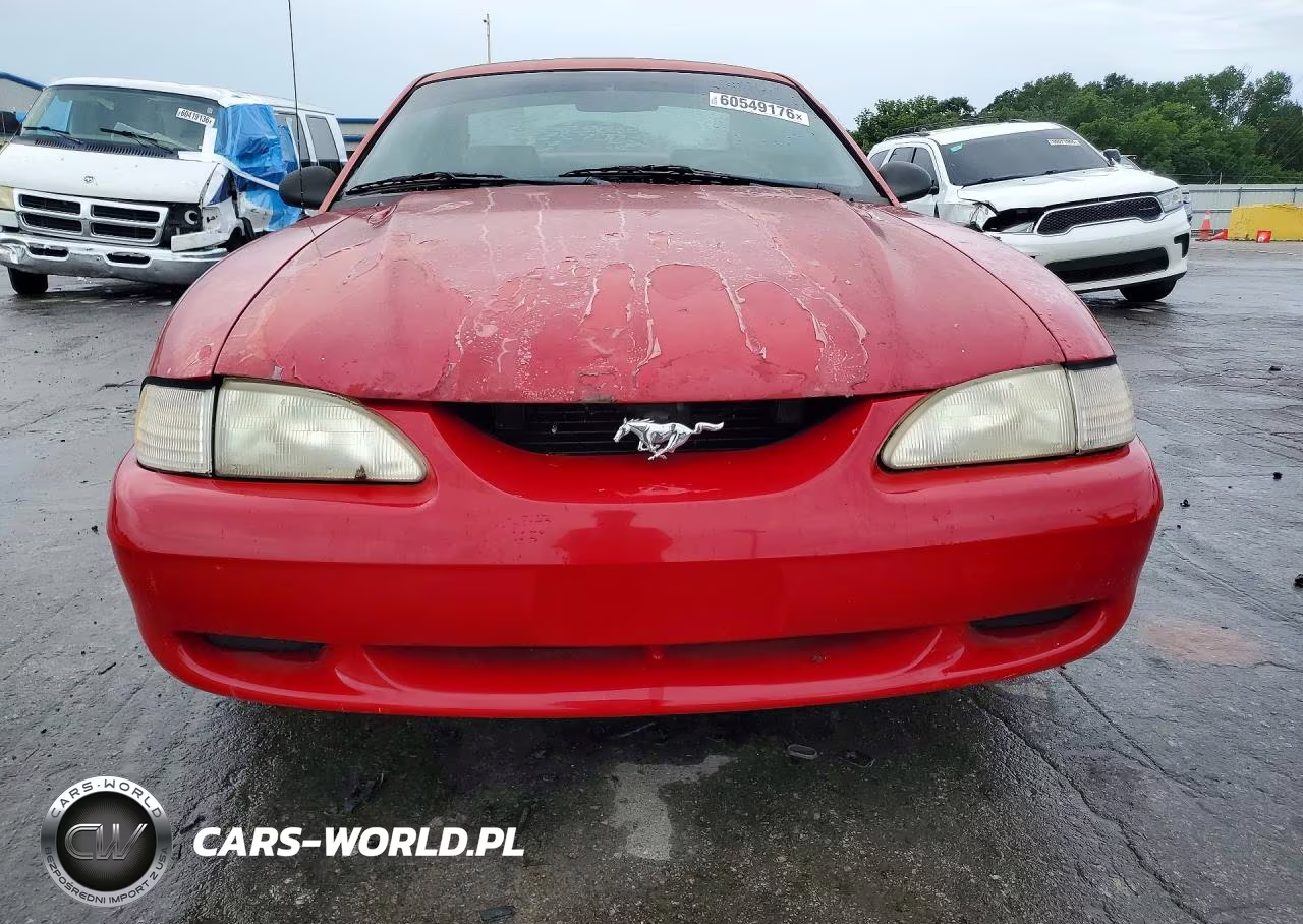 1998 Ford Mustang VIN:1FAFP4044WF194141 - 5