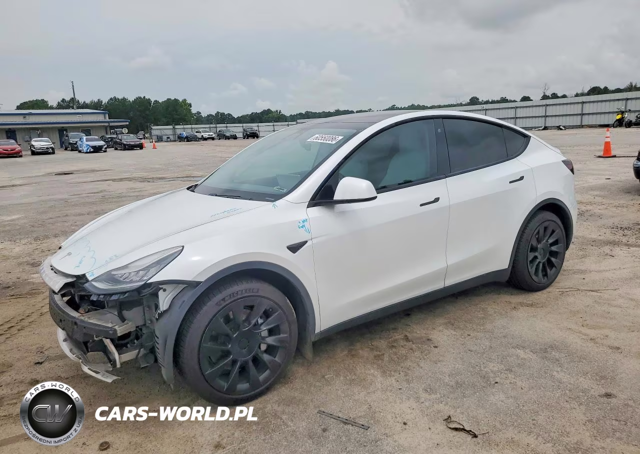 2020 Tesla Model Y VIN:5YJYGDEE0LF042698 - 1