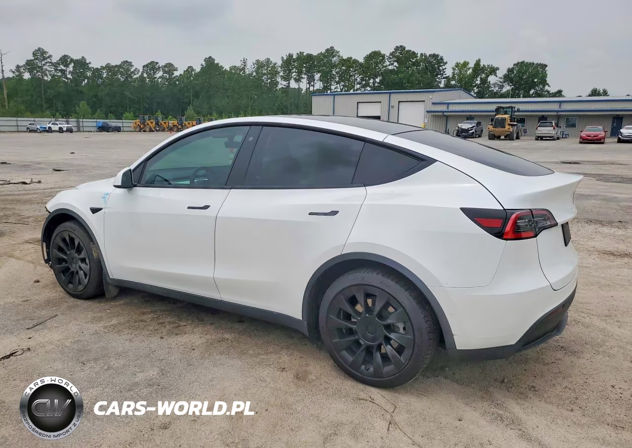 2020 Tesla Model Y VIN:5YJYGDEE0LF042698 - 2