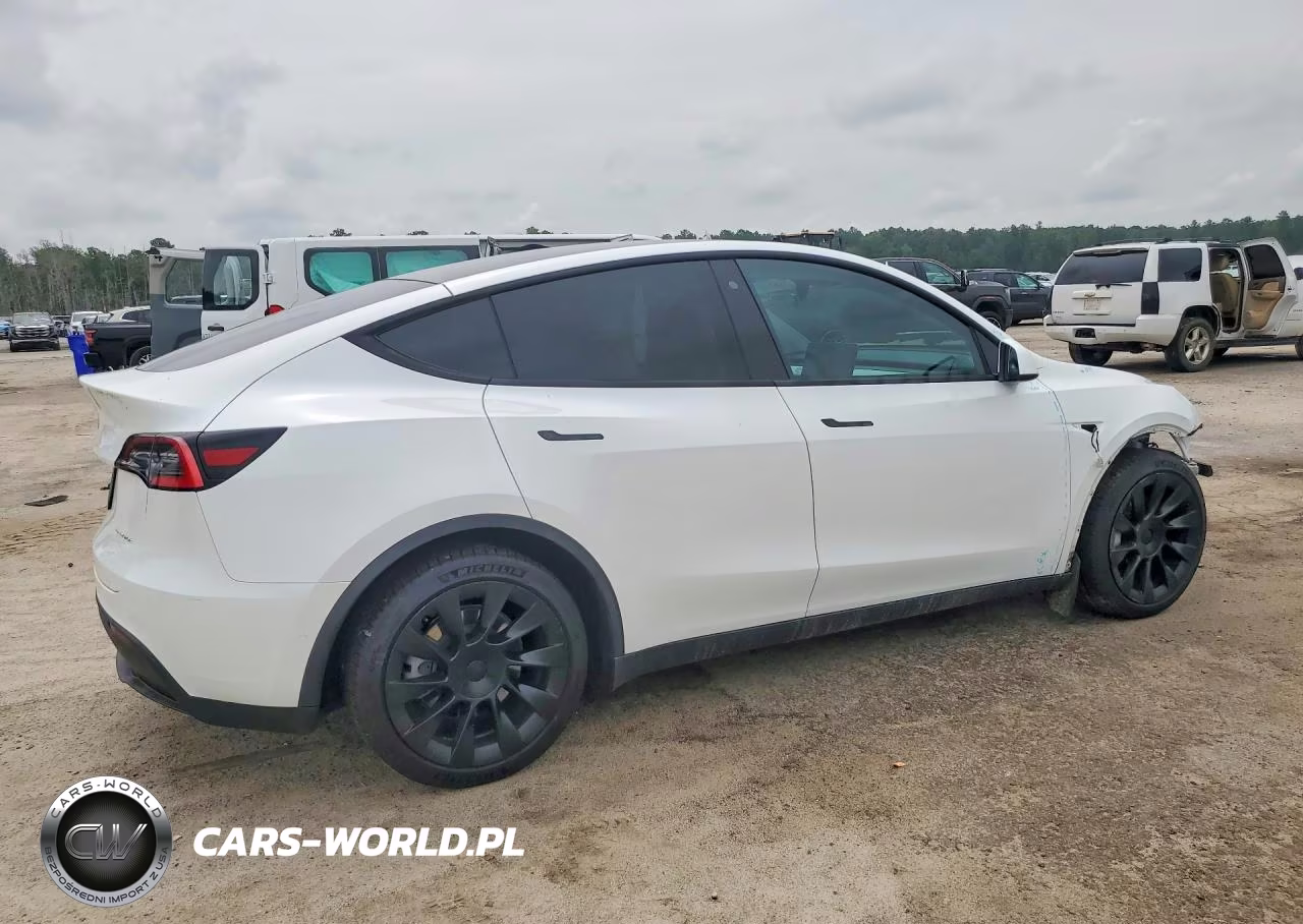 2020 Tesla Model Y VIN:5YJYGDEE0LF042698 - 3