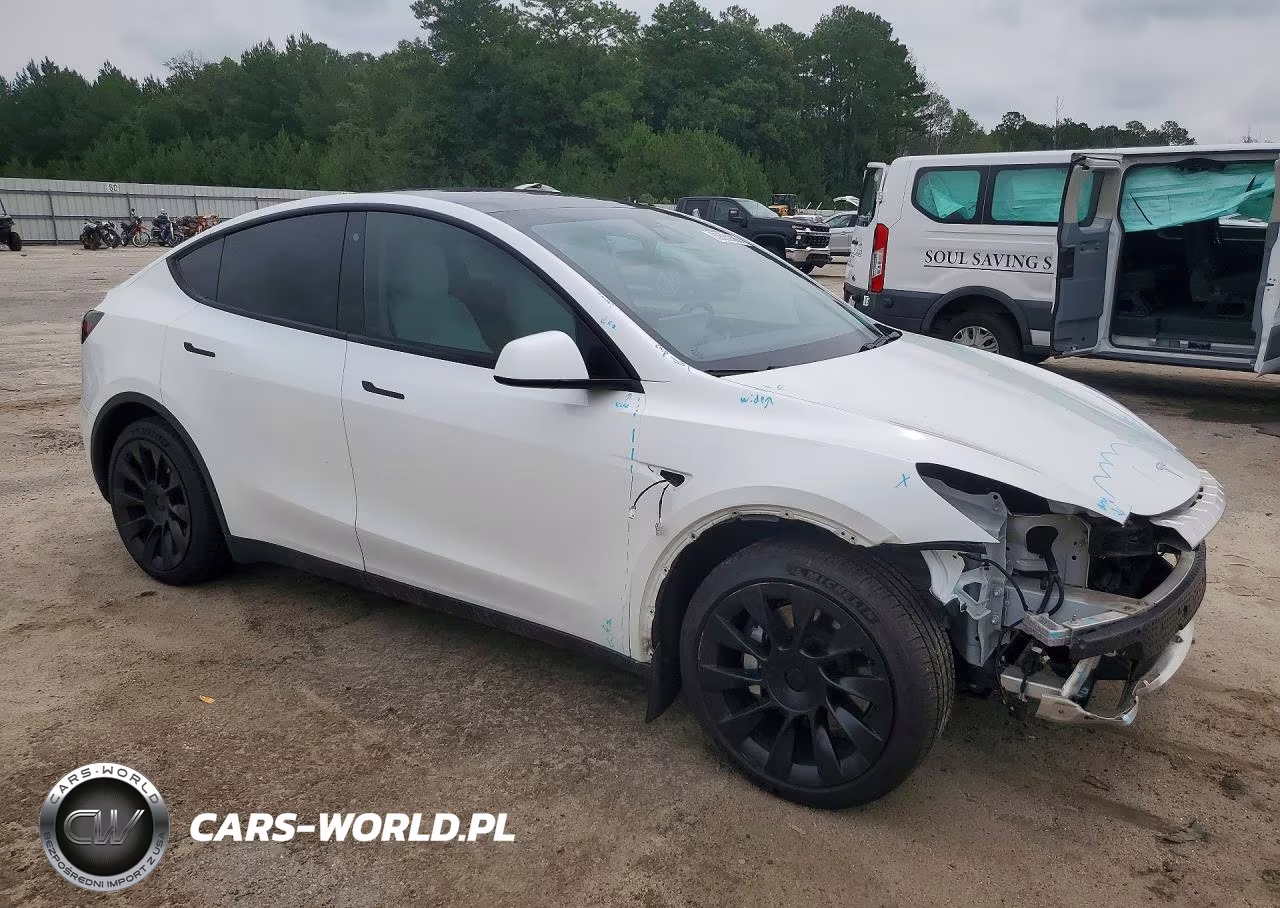 2020 Tesla Model Y VIN:5YJYGDEE0LF042698 - 4