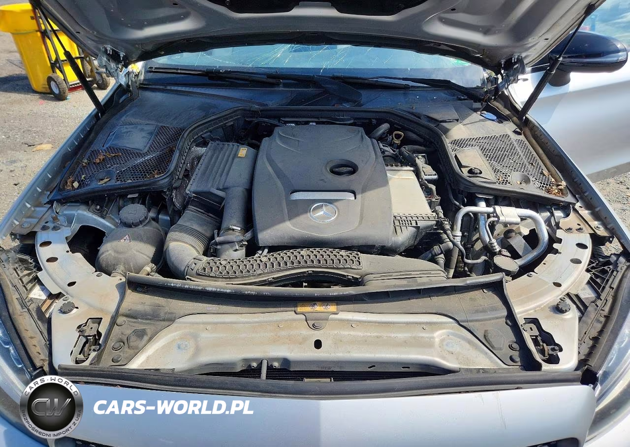 2018 Mercedes-Benz C 300 VIN:WDDWJ4JB1JF731958 - 11
