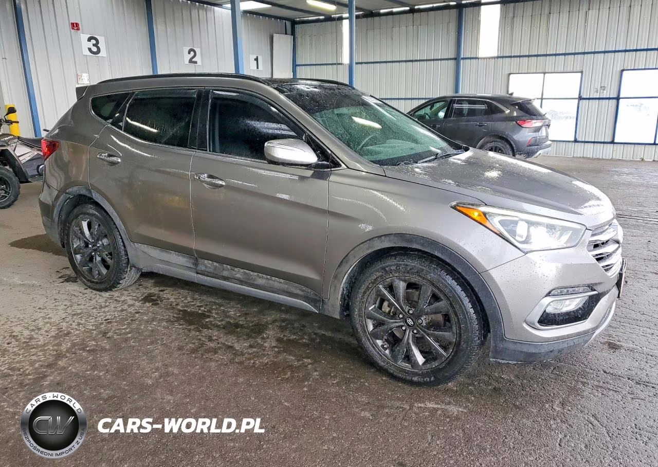2017 Hyundai Santa Fe Sport 2.0T Ultimate VIN:5XYZWDLA8HG447716 - 4