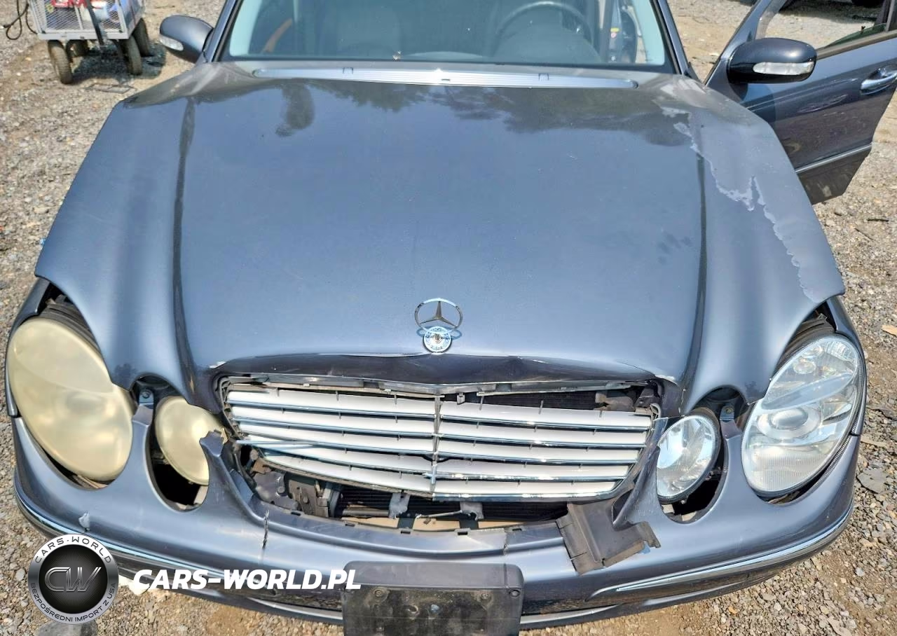 2006 Mercedes-Benz E 320 Cdi VIN:WDBUF26J66A963952 - 11