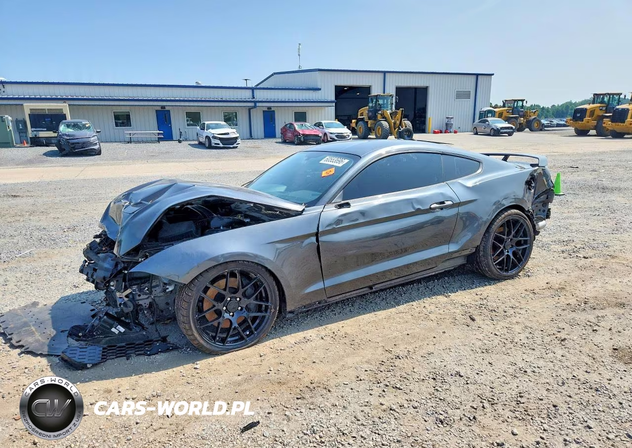 2019 Ford Mustang