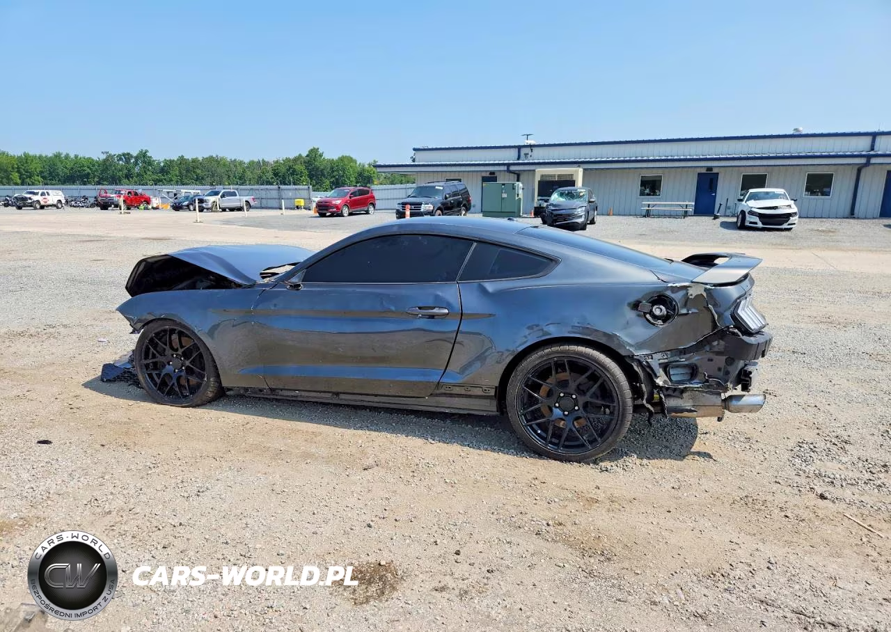 2019 Ford Mustang VIN:1FA6P8TH8K5182516 - 2