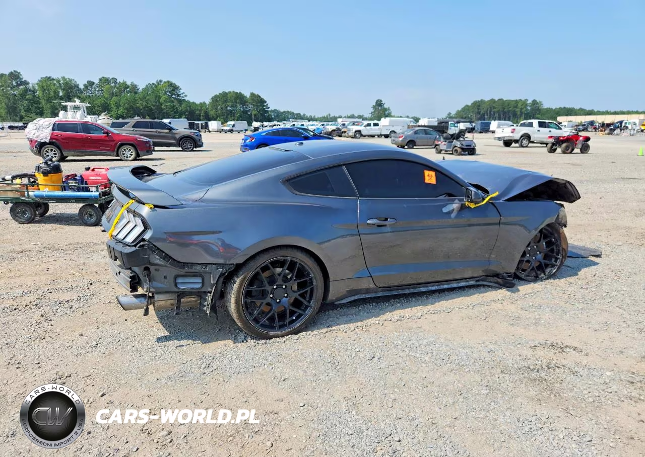 2019 Ford Mustang VIN:1FA6P8TH8K5182516 - 3