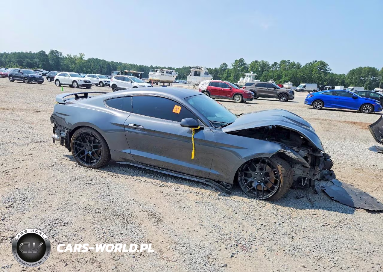 2019 Ford Mustang VIN:1FA6P8TH8K5182516 - 4