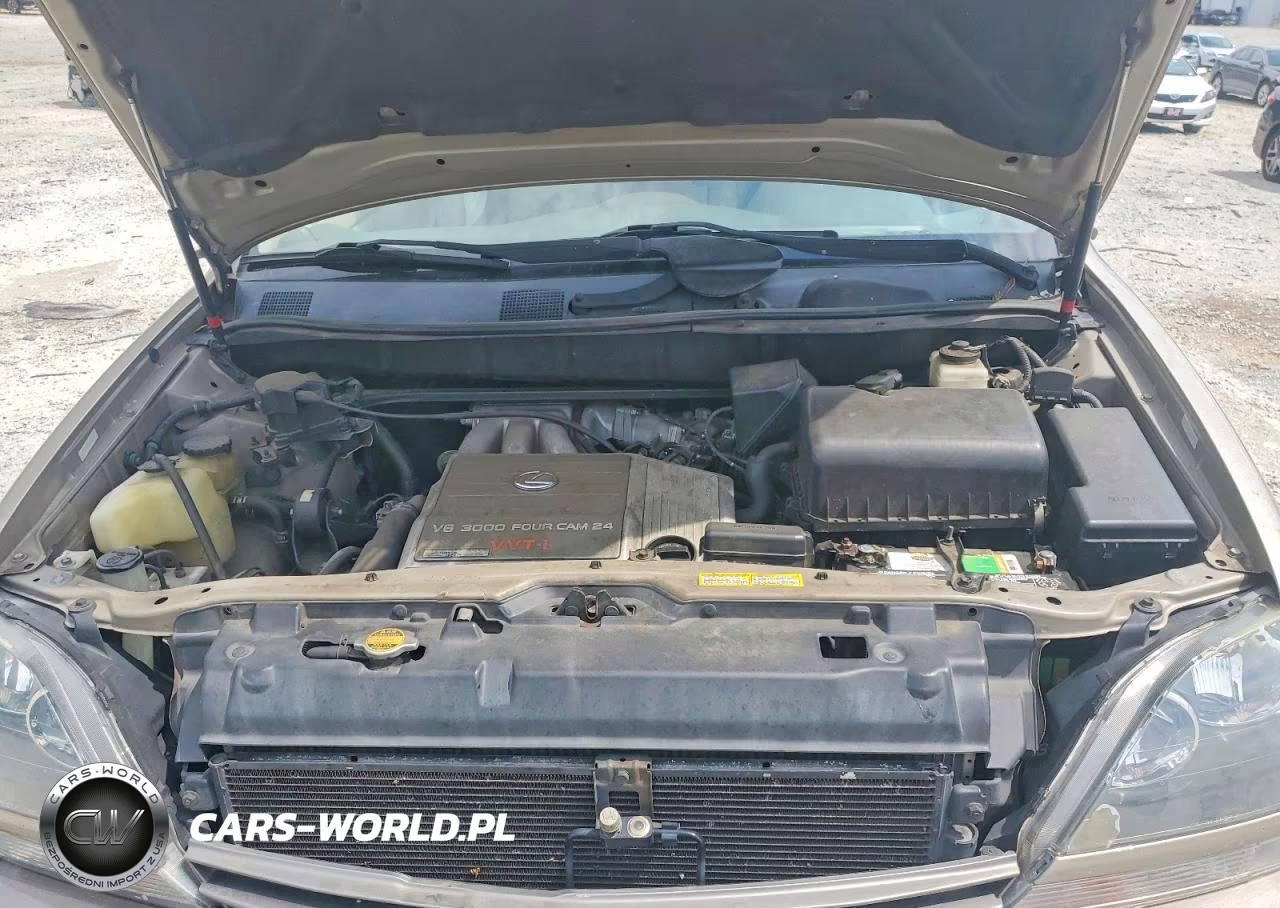 2000 Lexus Rx 300 VIN:JT6GF10U4Y0063496 - 11