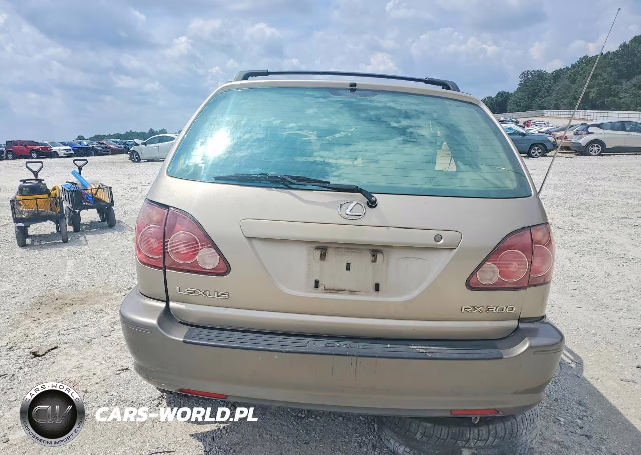2000 Lexus Rx 300 VIN:JT6GF10U4Y0063496 - 6