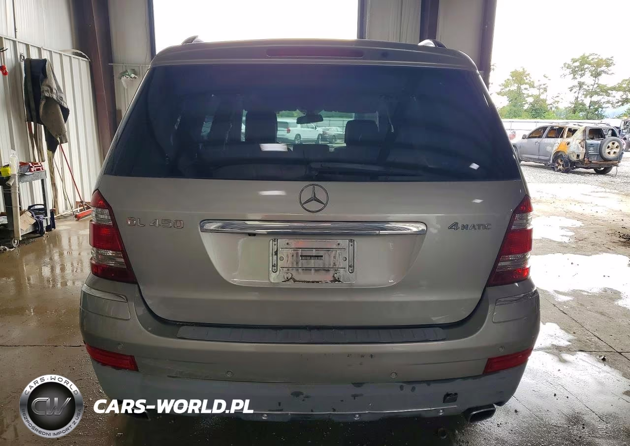 2008 Mercedes-Benz Gl 450 4Matic VIN:4JGBF71E38A324359 - 6