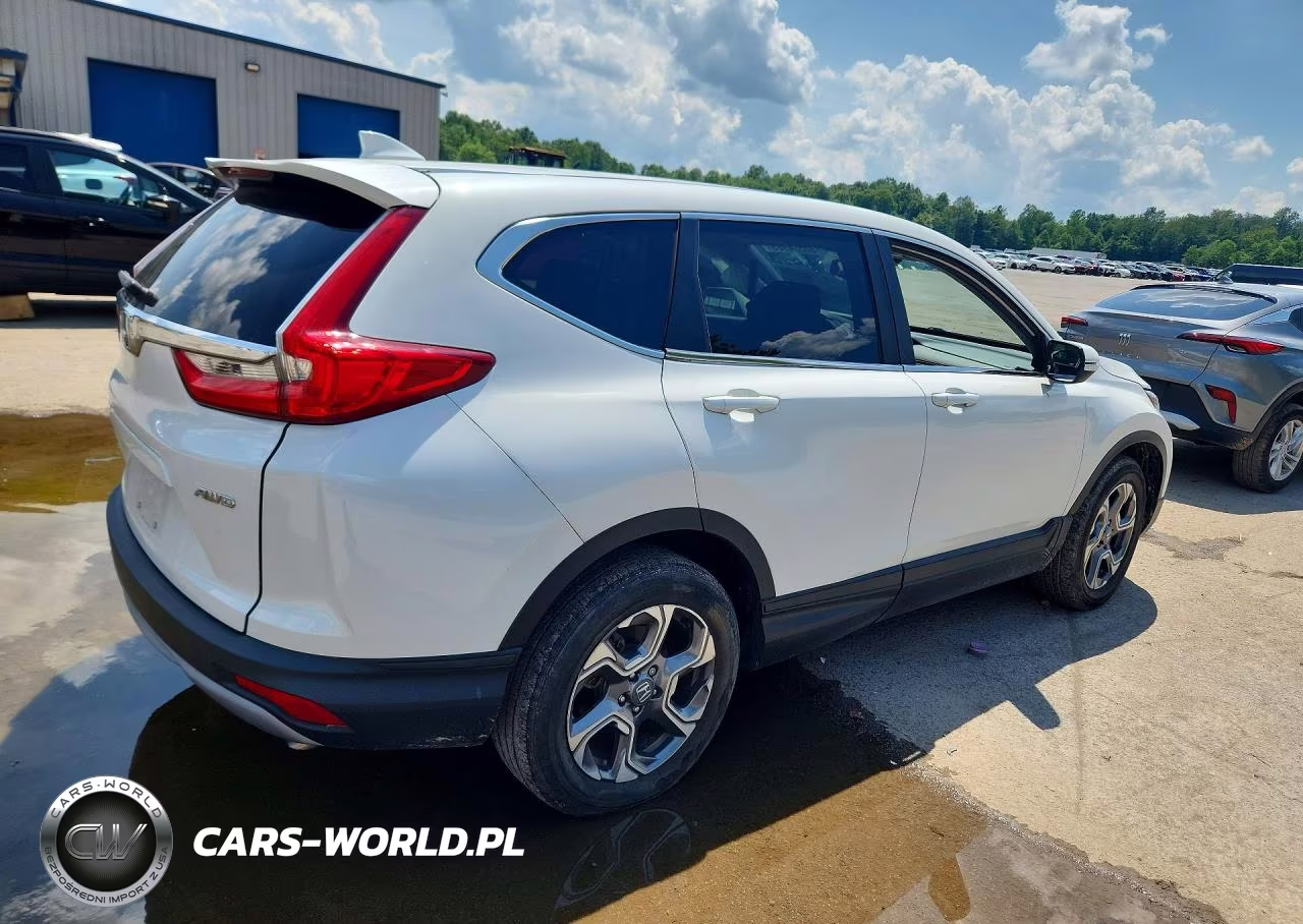 2019 Honda Cr-V Exl VIN:5J6RW2H87KA018109 - 3