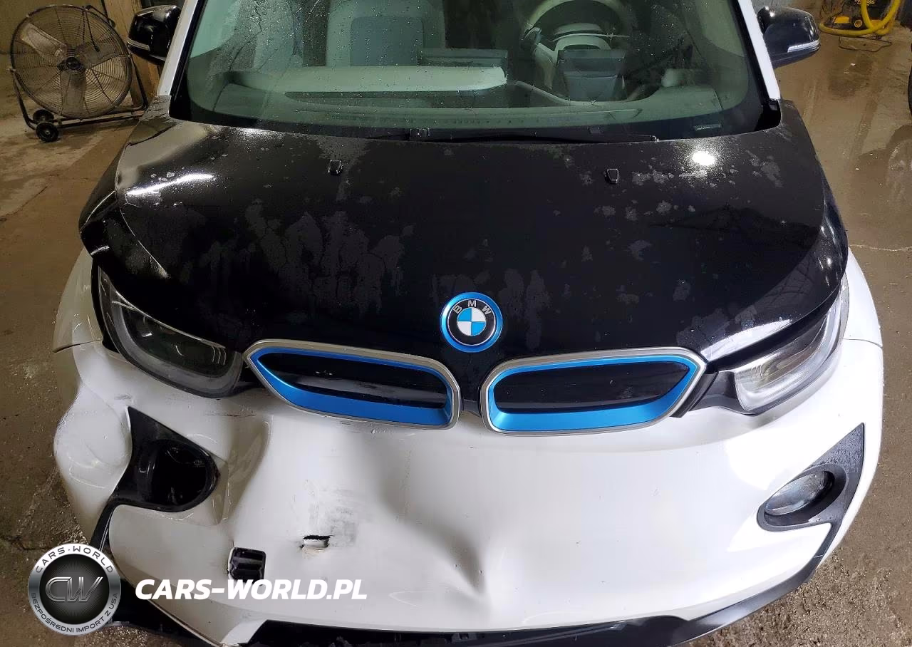 2016 BMW I3 Rex VIN:WBY1Z4C50GV508912 - 12