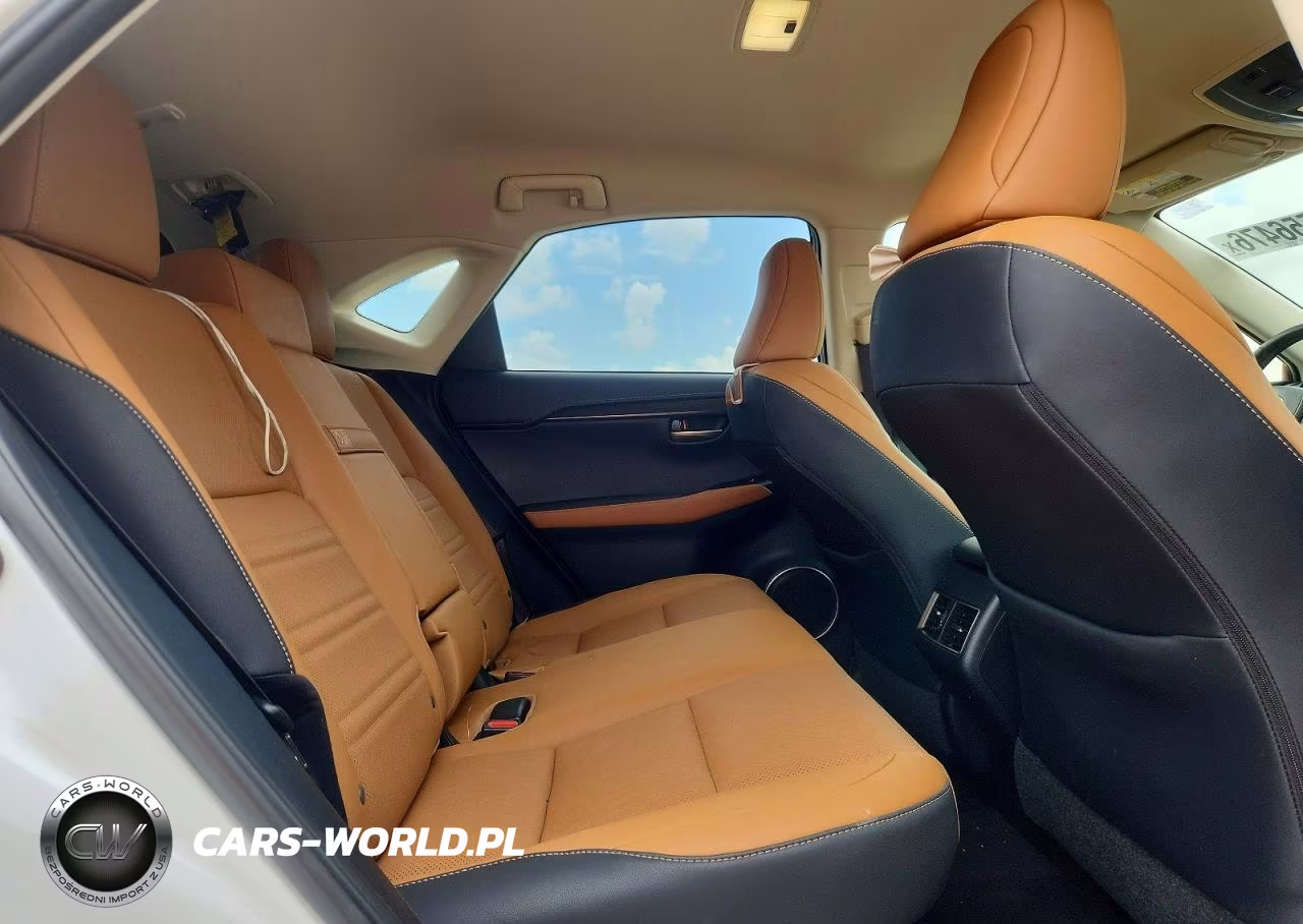2021 Lexus Nx 300 Base VIN:JTJDARBZ7M5021951 - 10