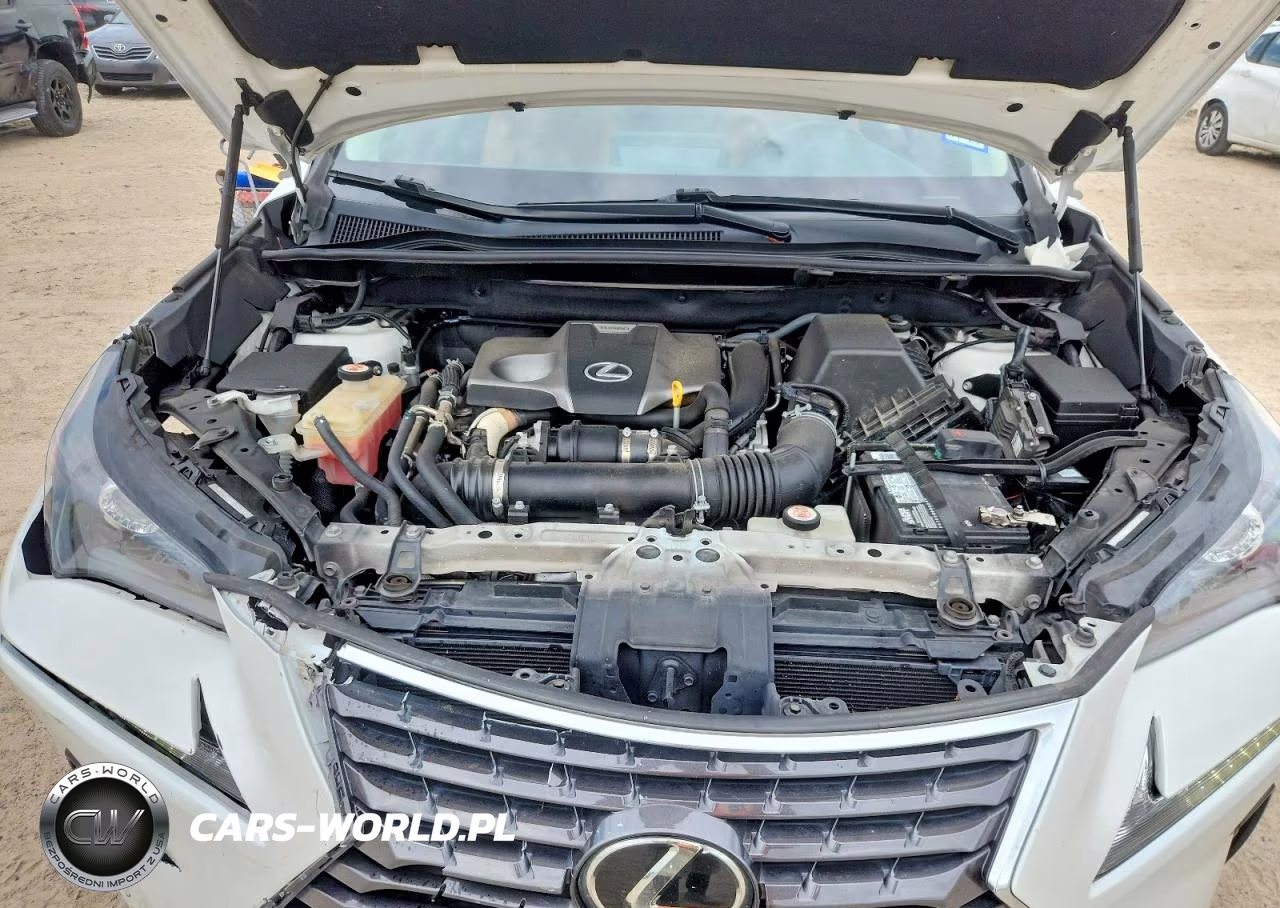 2021 Lexus Nx 300 Base VIN:JTJDARBZ7M5021951 - 11