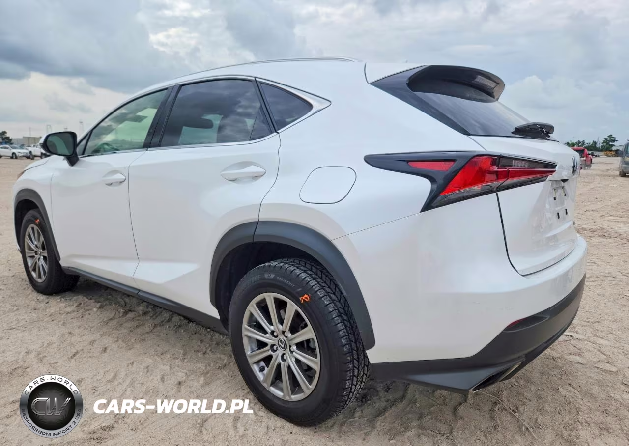 2021 Lexus Nx 300 Base VIN:JTJDARBZ7M5021951 - 2