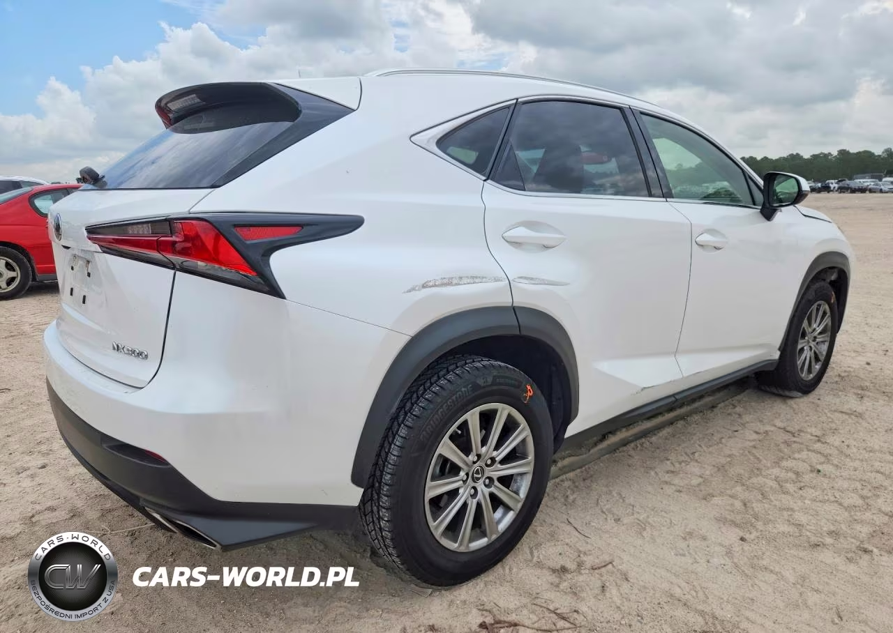 2021 Lexus Nx 300 Base VIN:JTJDARBZ7M5021951 - 3