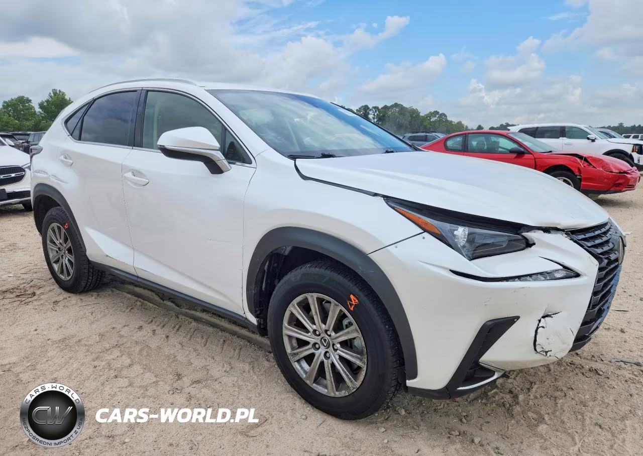2021 Lexus Nx 300 Base VIN:JTJDARBZ7M5021951 - 4