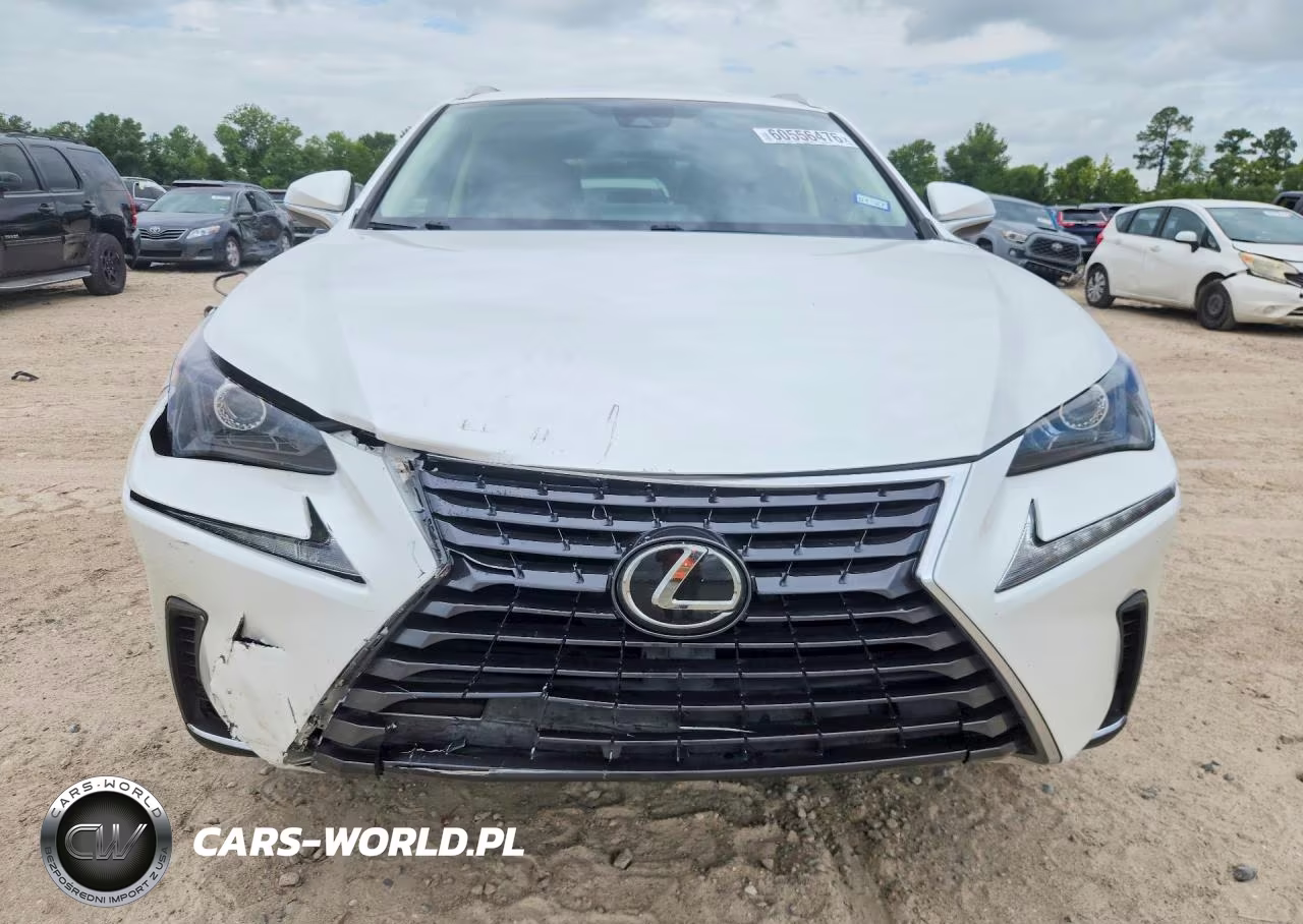 2021 Lexus Nx 300 Base VIN:JTJDARBZ7M5021951 - 5